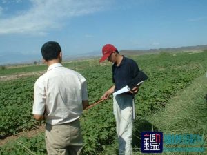 污染行为造成减783亩国有土地在实际生产能力方面所造成的损失