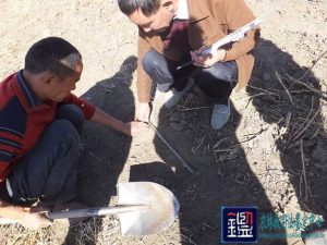 夜间深松小麦地 不慎毁了邻家药材地