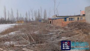 对涉案被砍伐林木的树种、材积及价值进行司法鉴定