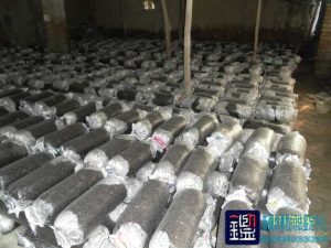 种植的10161袋食用菌平菇因无水后造成的经济损失进行司法鉴定