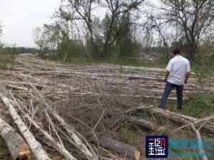 涉案林木的树种、株数、材积及价值进行司法鉴定