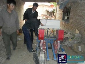 农机播种的1030亩玉米出苗差的原因及所造成的损失进行司法鉴定